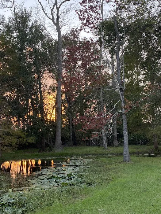 Snow White Sanctuary - Campground Picture 6