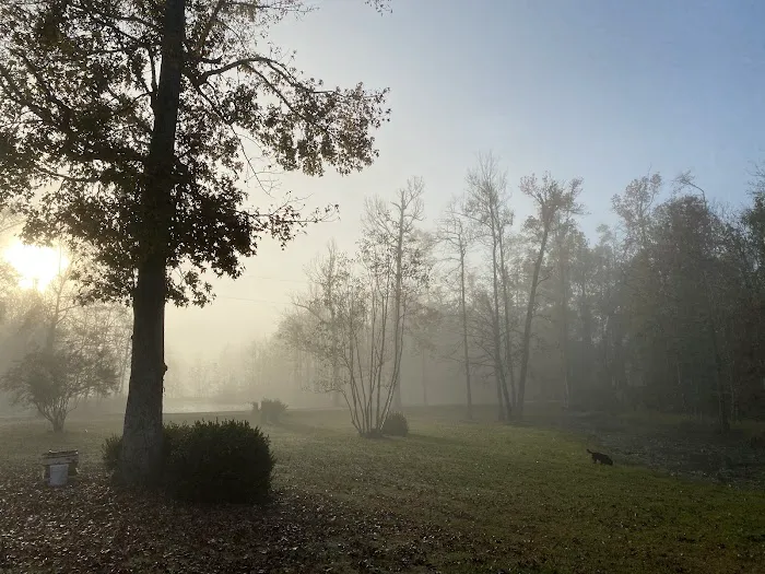 Snow White Sanctuary - Campground Picture 2