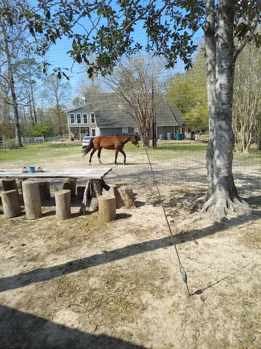 Snow White Sanctuary - Campground Picture 7
