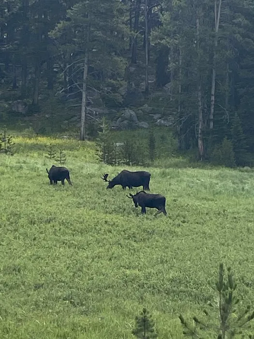 Burgess Ranger Station Picture 1
