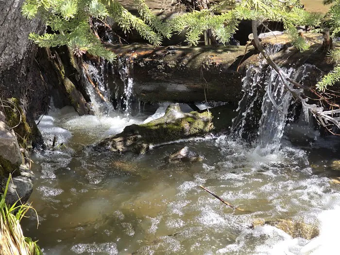 North Tongue Campground Picture 6