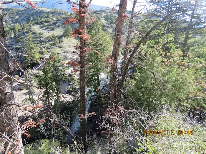 Owen Creek Campground Picture 7