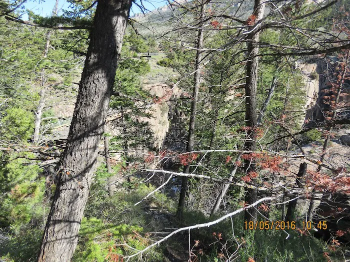 Owen Creek Campground Picture 10