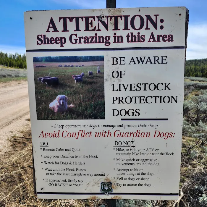 Owen Creek Campground Picture 4