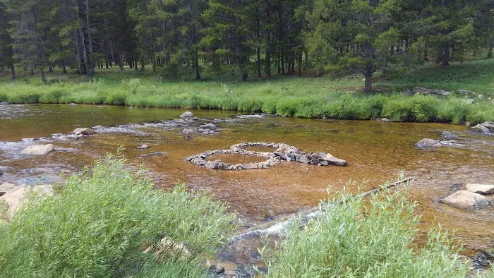 Pine Island Group Campground Picture 3