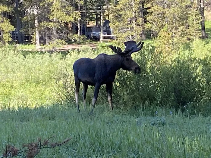 Pine Island Group Campground Picture 10