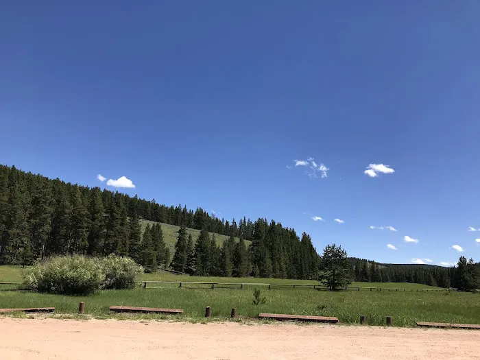 Pine Island Group Campground Picture 9