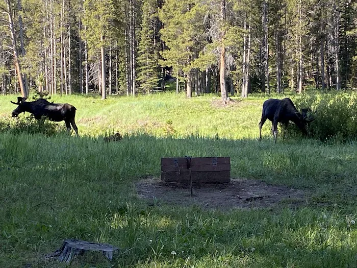 Pine Island Group Campground Picture 4