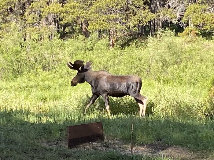 Pine Island Group Campground Picture 7