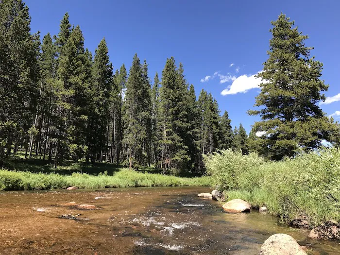 Pine Island Group Campground Picture 5