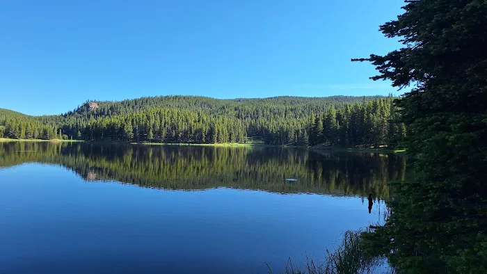 Prune Creek Picture 6