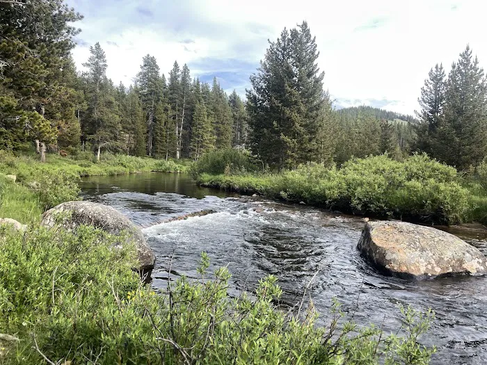 Prune Creek Picture 2