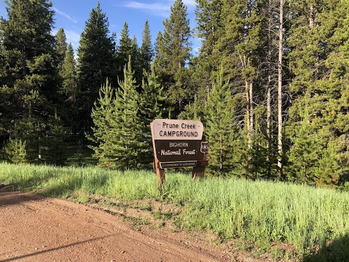 Prune Creek Picture 4