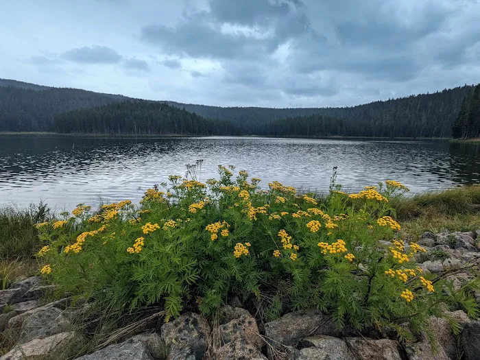 Sibley Lake Dam Picnic Site Picture 2