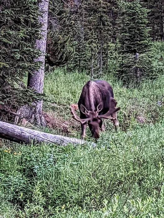 Sibley Lake Campground Picture 5