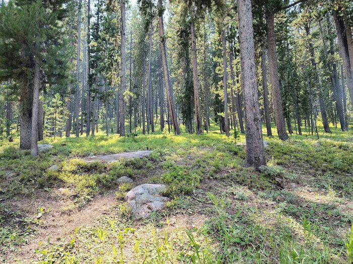 Sibley Lake Campground Picture 2