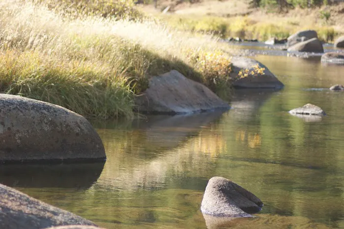 Tie Flume Campground Picture 4