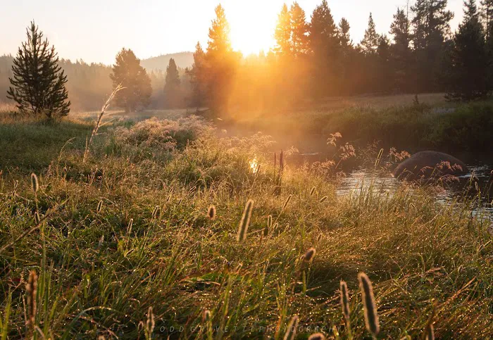 Tie Flume Campground Picture 5