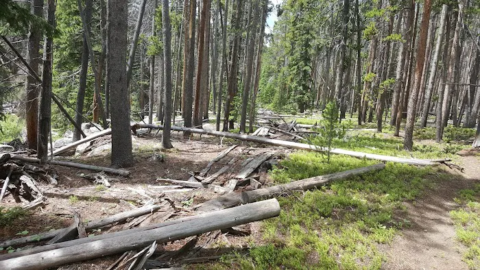 Tie Flume Campground Picture 7