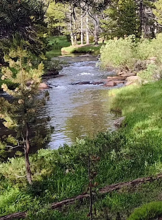 Tie Flume Campground Picture 10