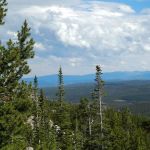 Tie Flume Campground