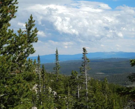 Tie Flume Campground