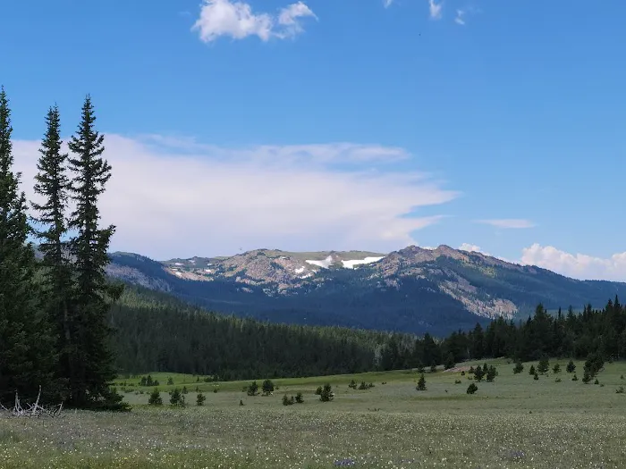 Dead Swede Campground Picture 2