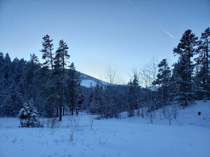 Thain Creek Campground Picture 10