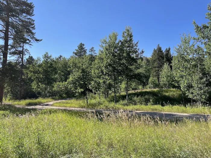 Thain Creek Campground Picture 9