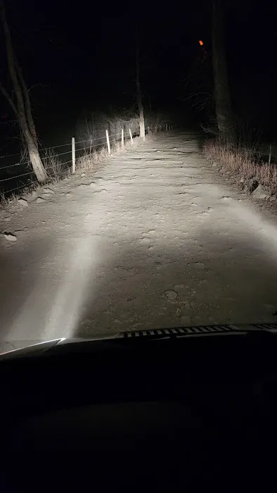 Thain Creek Campground Picture 7