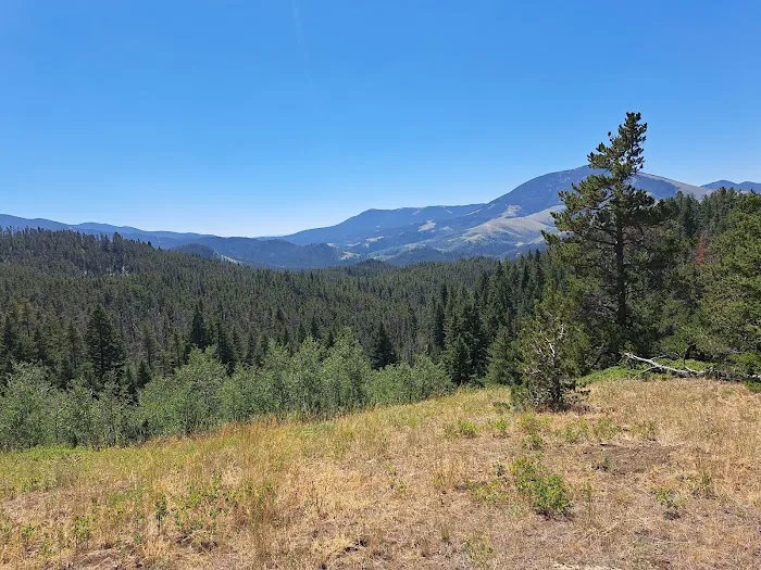 Thain Creek Campground Picture 4