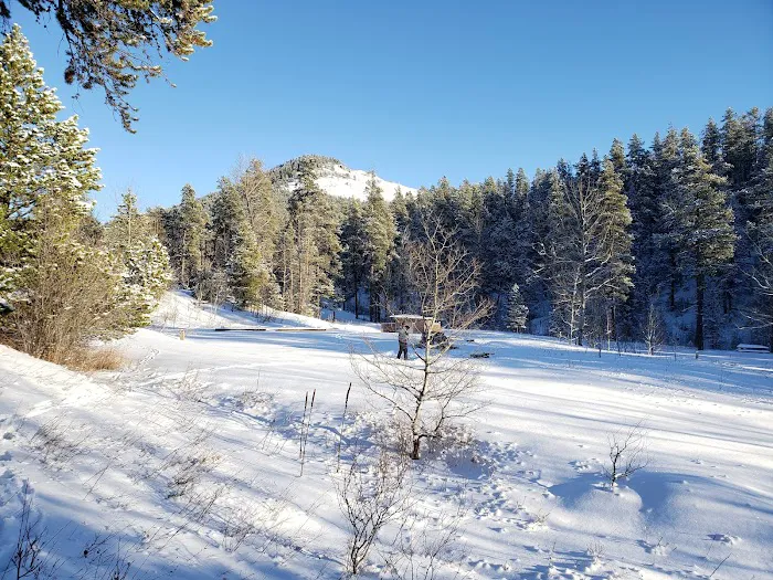 Thain Creek Campground Picture 8