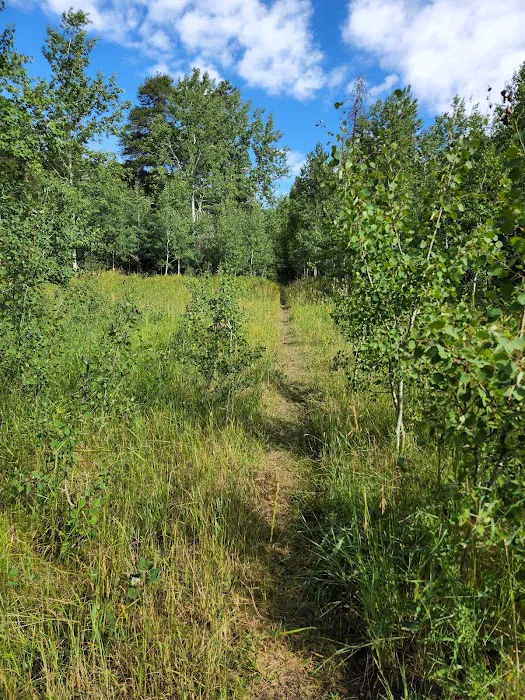 Thain Creek Campground Picture 6