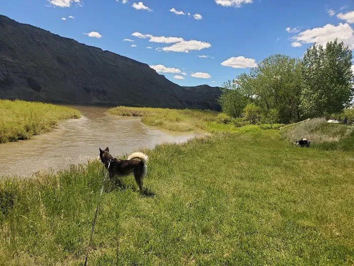 Canoe Launch Campground Picture 5