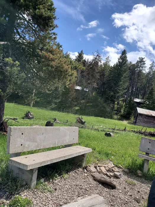 Girl Scouts of the USA Picture 10