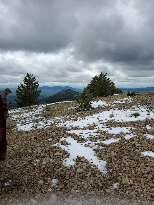 Girl Scouts of the USA Picture 4