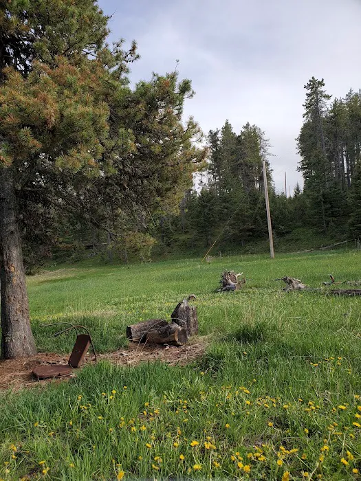 Girl Scouts of the USA Picture 5