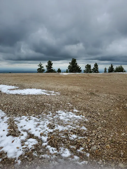 Girl Scouts of the USA Picture 7