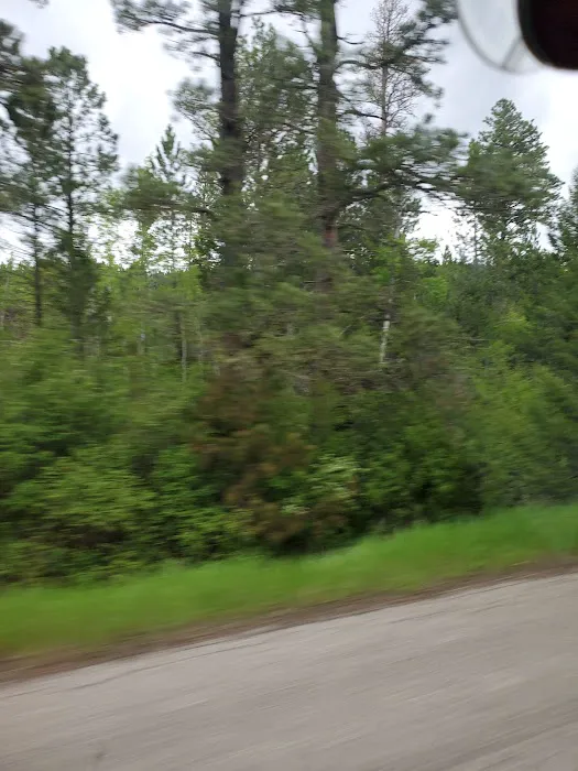 Girl Scouts of the USA Picture 1