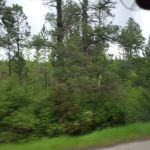 Girl Scouts of the USA