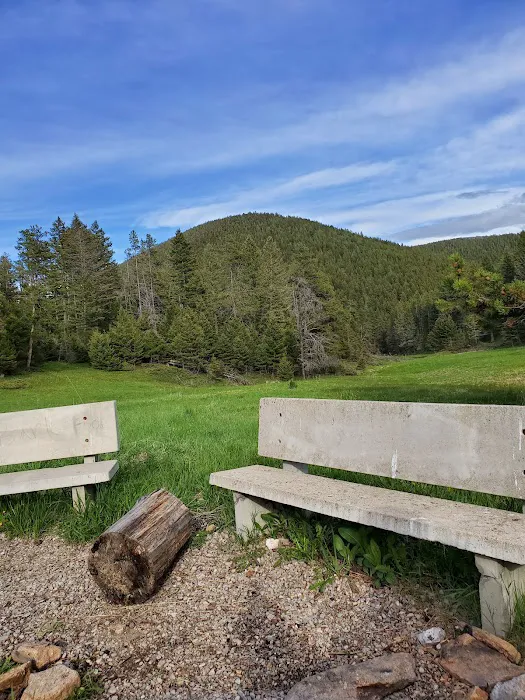 Girl Scouts of the USA Picture 2