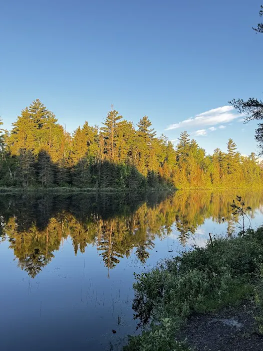 Kawishiwi Lake Rustic Campground Picture 10