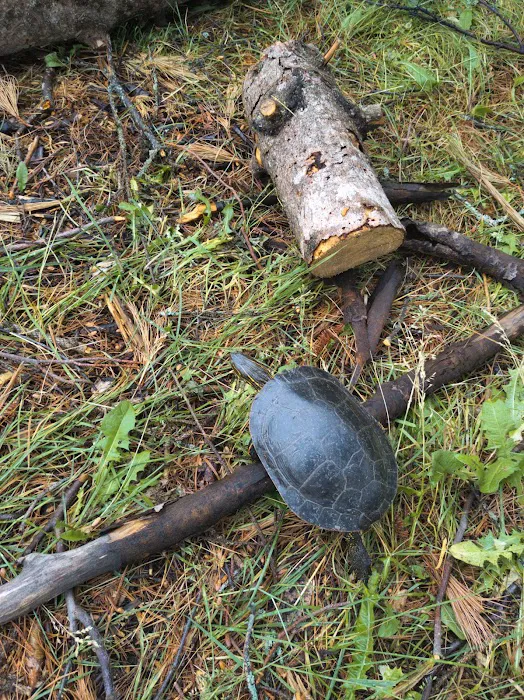 Camp 1224 Ensign Lake Picture 1