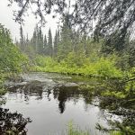 Poplar River Rustic Campground