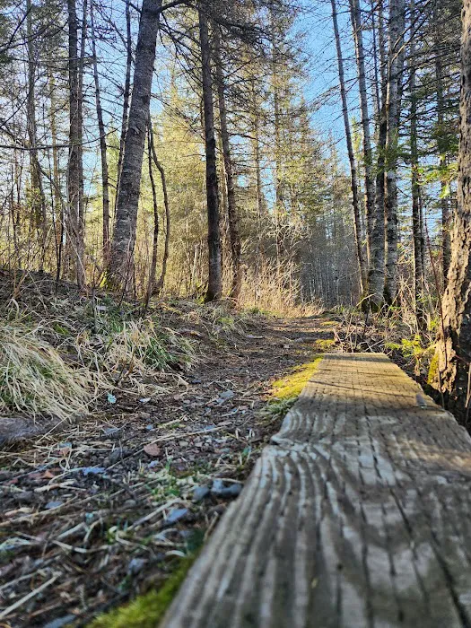 Poplar River Rustic Campground Picture 7