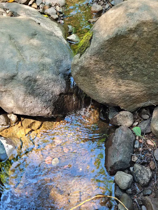 Springdale Creek Camp Picture 6