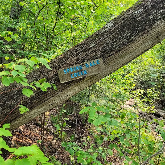 Springdale Creek Camp Picture 3