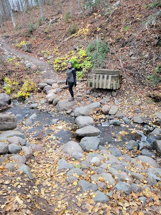 Springdale Creek Camp Picture 8