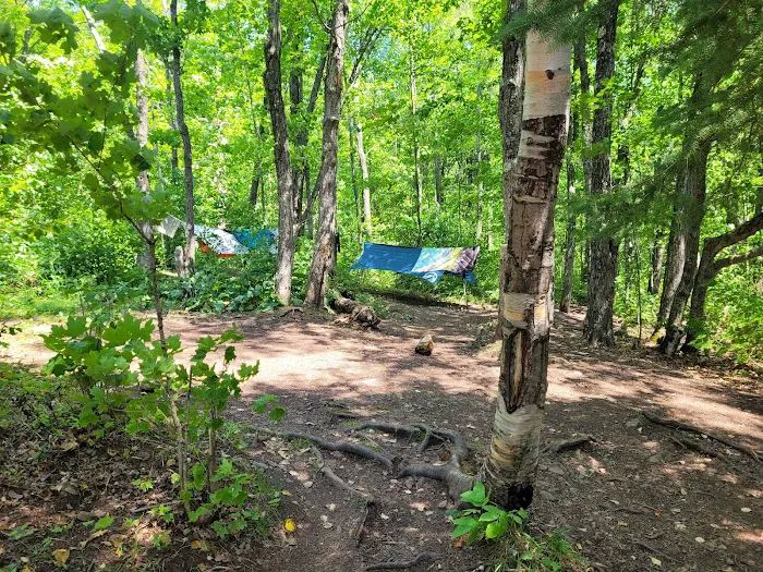 Springdale Creek Camp Picture 1