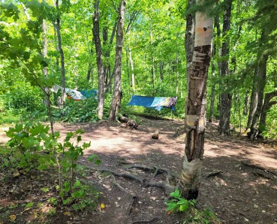 Springdale Creek Camp